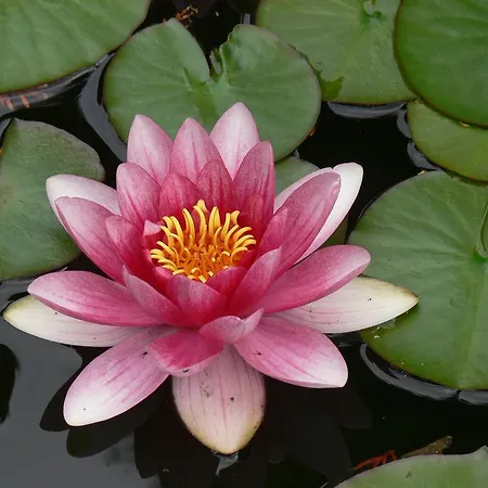 Landferienhaus Erika Πανσιόν