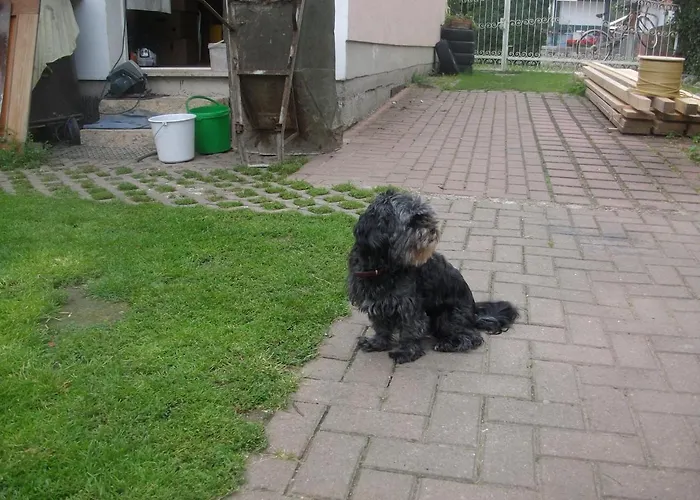 Landferienhaus Erika Mühlhausen