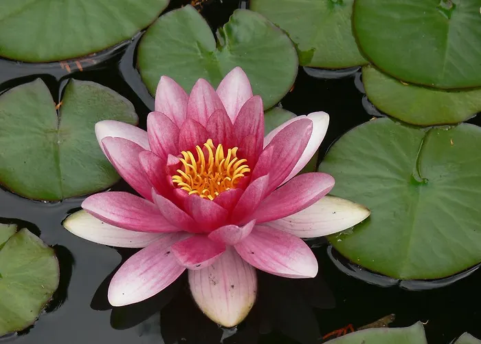 Landferienhaus Erika Πανσιόν